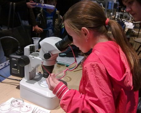 Европейска нощ на учените ще върви онлайн за всички любители на науката