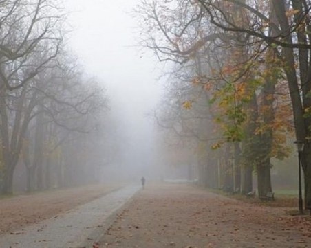 Мъгли сутринта, през деня - до 14 градуса