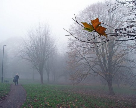 Мъгли и отрицателни температури сутрин, следобед слънцето пробива