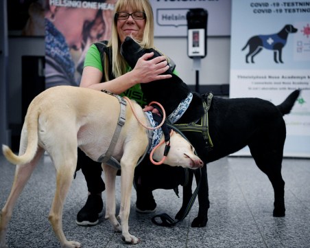 Обучени кучета стават по-успешни детектори на Covid-19 от разпространените методи