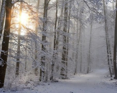 Валежите спират, слънцето ще се покаже