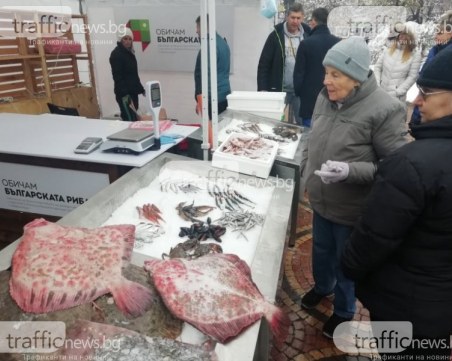 Започват проверките на магазините за риба преди Никулден
