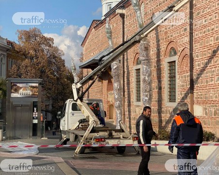 Палмите в центъра на Пловдив се 