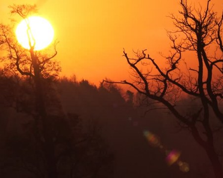 До края на седмицата: Температурите се покачват, слънцето се показва