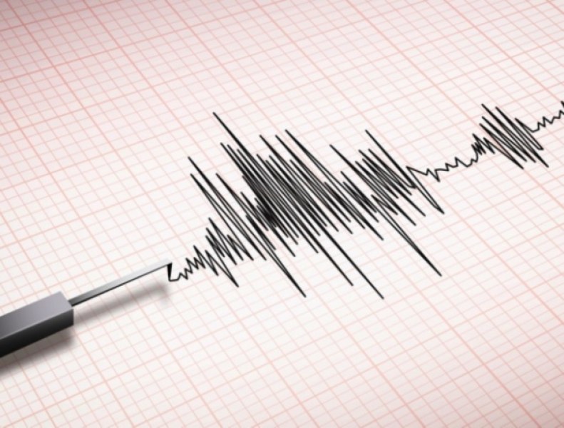 Земетресение от пета степен разтърси Турция