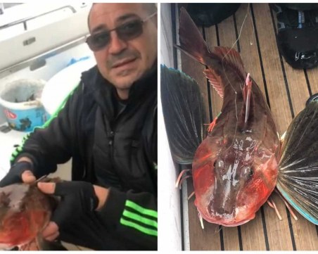 Наслука: Рибар улови изключително рядка риба в Черно море