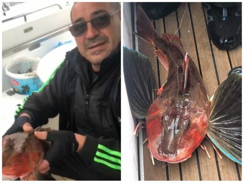 Наслука: Рибар улови изключително рядка риба в Черно море