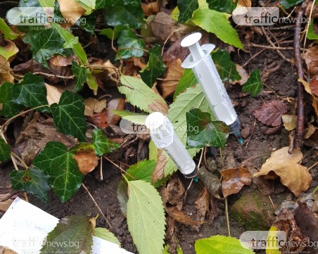 Пловдивчанка: Дановият хълм вече е място за наркомани, опасно е да се минава оттам