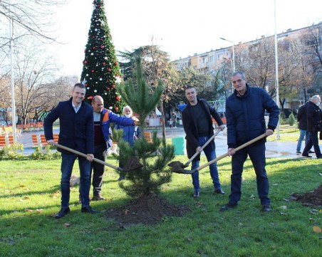 Залесиха парк 