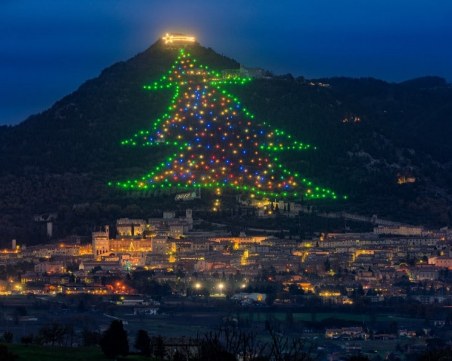 Запалиха най-голямото коледно дърво от лампички в света