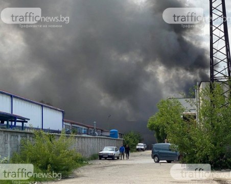 Над 44 бона глоби са наложени през ноември от РИОСВ-Пловдив