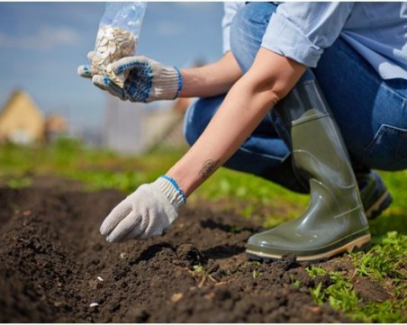 Как да използваме мотофрезата ефективно?