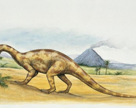 Учените с дигитална възстановка на мозъка на динозавър, довели до изненадващи открития