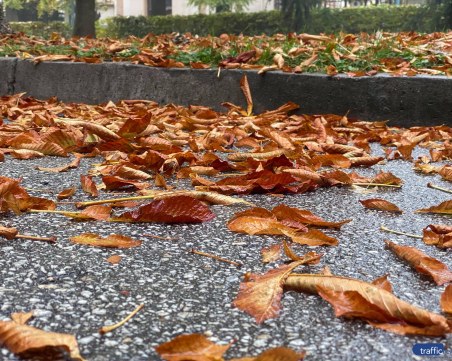 Очаква ни облачна и мъглива неделя