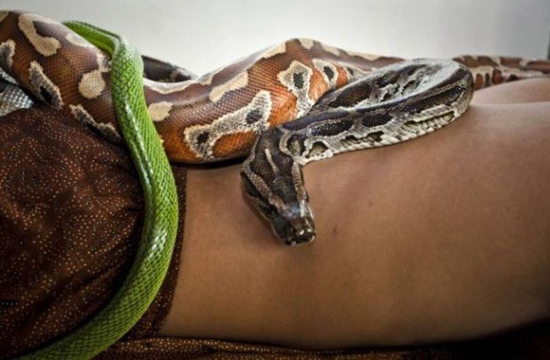 СПА център предлага масаж със змии