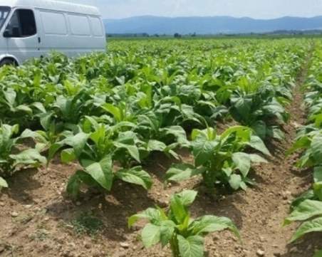 България получава 880 млн. евро за земеделските стопани и селските райони