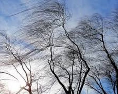 Жълт код за опасен вятър в 14 области