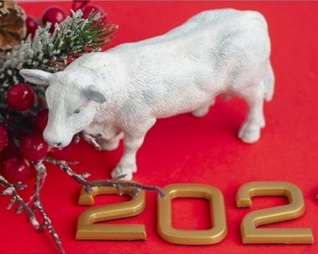 Късметлийските цветове през 2021 г.