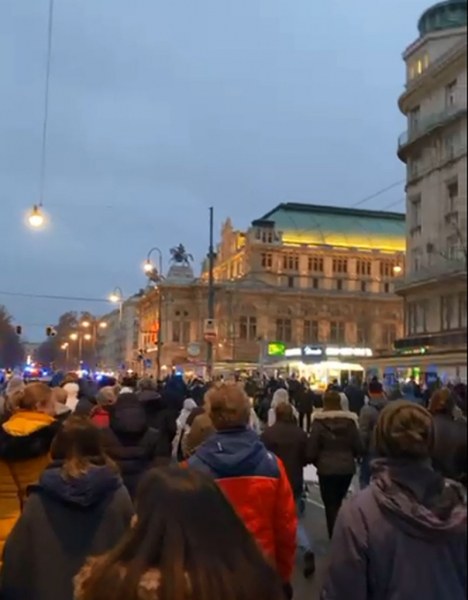 Полиция разпръсна протестиращите във Виена, има арестувани