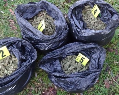 Четирима от Раковски в ареста след стрелбата за 14 кг марихуана