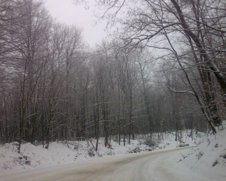 Откриха изгубени мъж и жена в Родопите