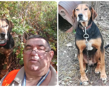 Родоп е в неизвестност от 3 месеца, стопаните му призовават за помощ