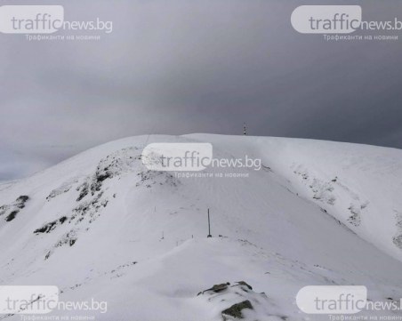 За два часа планинските спасители са стигнали до пострадалите в Стара планина