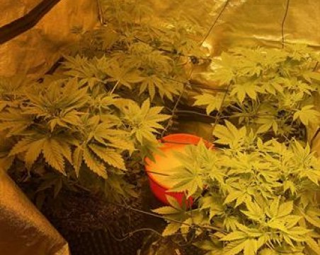 Разбиха нарколаборатория в Пловдивско, има задържан