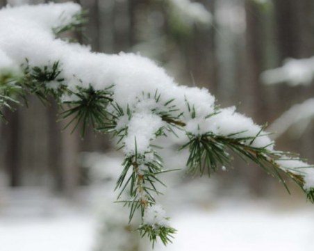 Температурите падат, дъжд и сняг ще вали в цялата страна