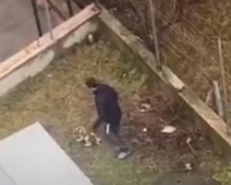 Зверство! Младеж рита жестоко беззащитно кученце