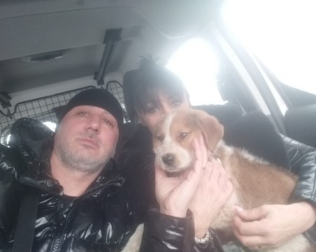 Спасиха зверски битото куче от 