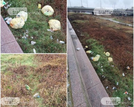 Мизерия! Торби с боклук по брега на Марица