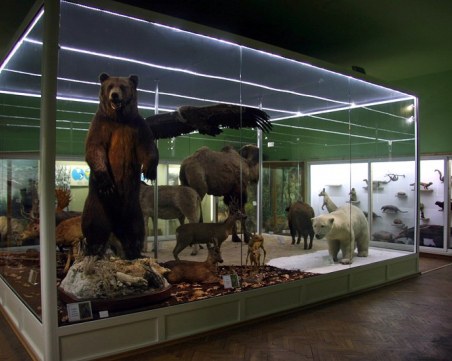 Природонаучният музей подарява минерал на всеки малчуган до 7-годишна възраст