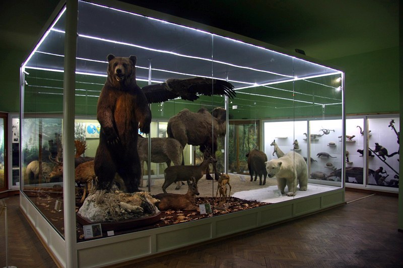 Природонаучният музей подарява минерал на всеки малчуган до 7-годишна възраст
