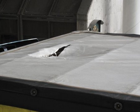 Спипаха трима мигранти в камион на Лесово