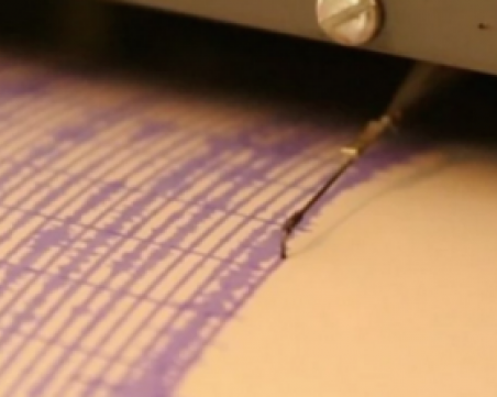 5.8 по Рихтер разлюля Нова Зеландия