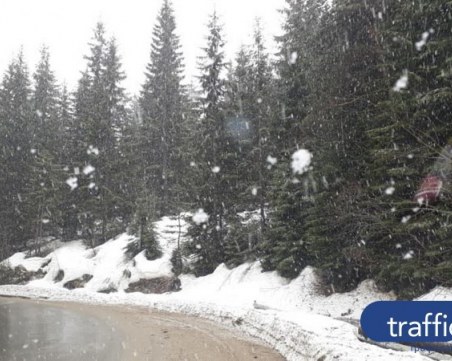 АПИ: Шофьорите да се готвят за зимни условия, може да има поледици