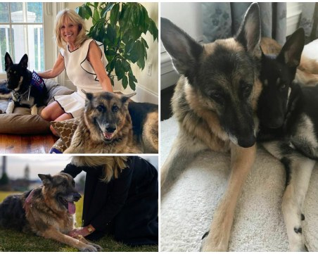 Първите домашни любимци официално влезнаха в Белия дом