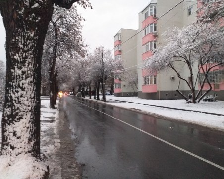 60 машини са почиствали пътищата в Пловдив тази нощ