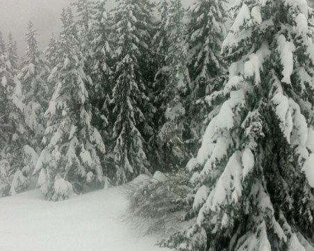 Български национали блокирани на Белмекен, пътищата затрупани от сняг