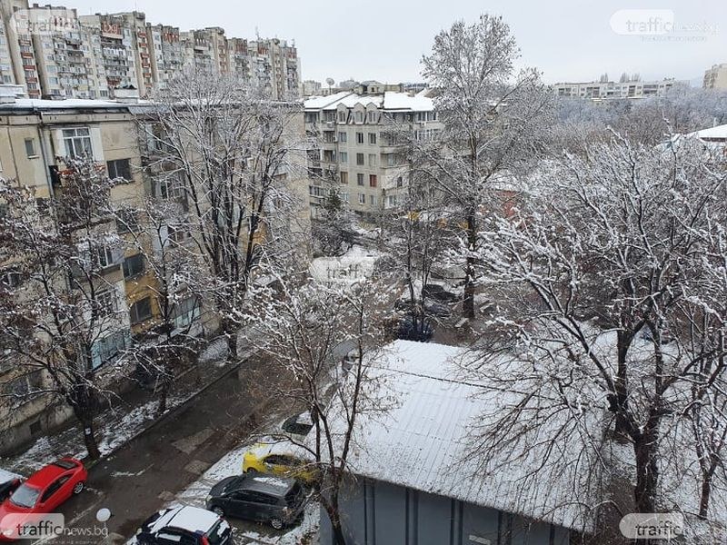 Остава ветровито! Термометърът няма да надвиши 3 градуса в Пловдив