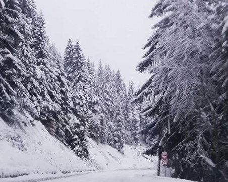 Пожарникари теглиха закъсал пловдивчанин в Родопите
