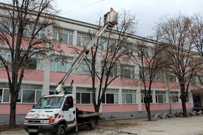 Отстраниха опасни клони в дворовете на гимназии в Пловдив