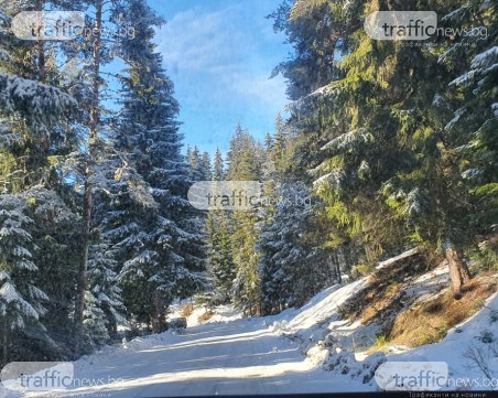 Тир аварира по пътя за Юндола, блокира една от лентите