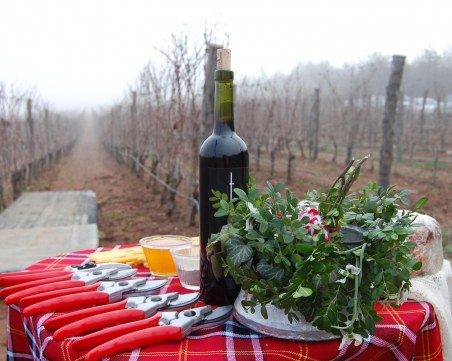 Трифоновден е! Празник на лозарите и хиляди именици