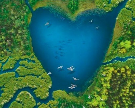 Еко сдружения отбелязват Деня на влажните зони