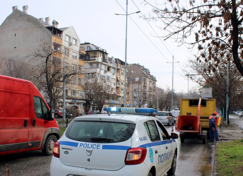 Затруднено движение на няколко места в Пловдив заради опасни клони