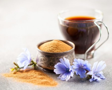 Кафе от цикория - здравословен заместител на обикновеното