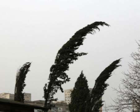 Жълт код за опасно време в Пловдив, очаква ни бурен вятър и пясък от Сахара