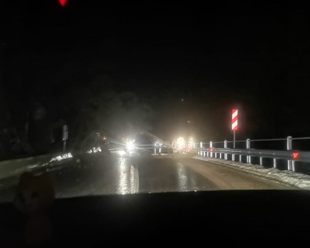 Паднали дървета блокираха път в Родопите